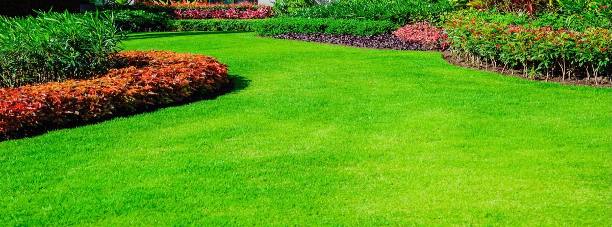 Freshly mowed lawn with manicured flower beds